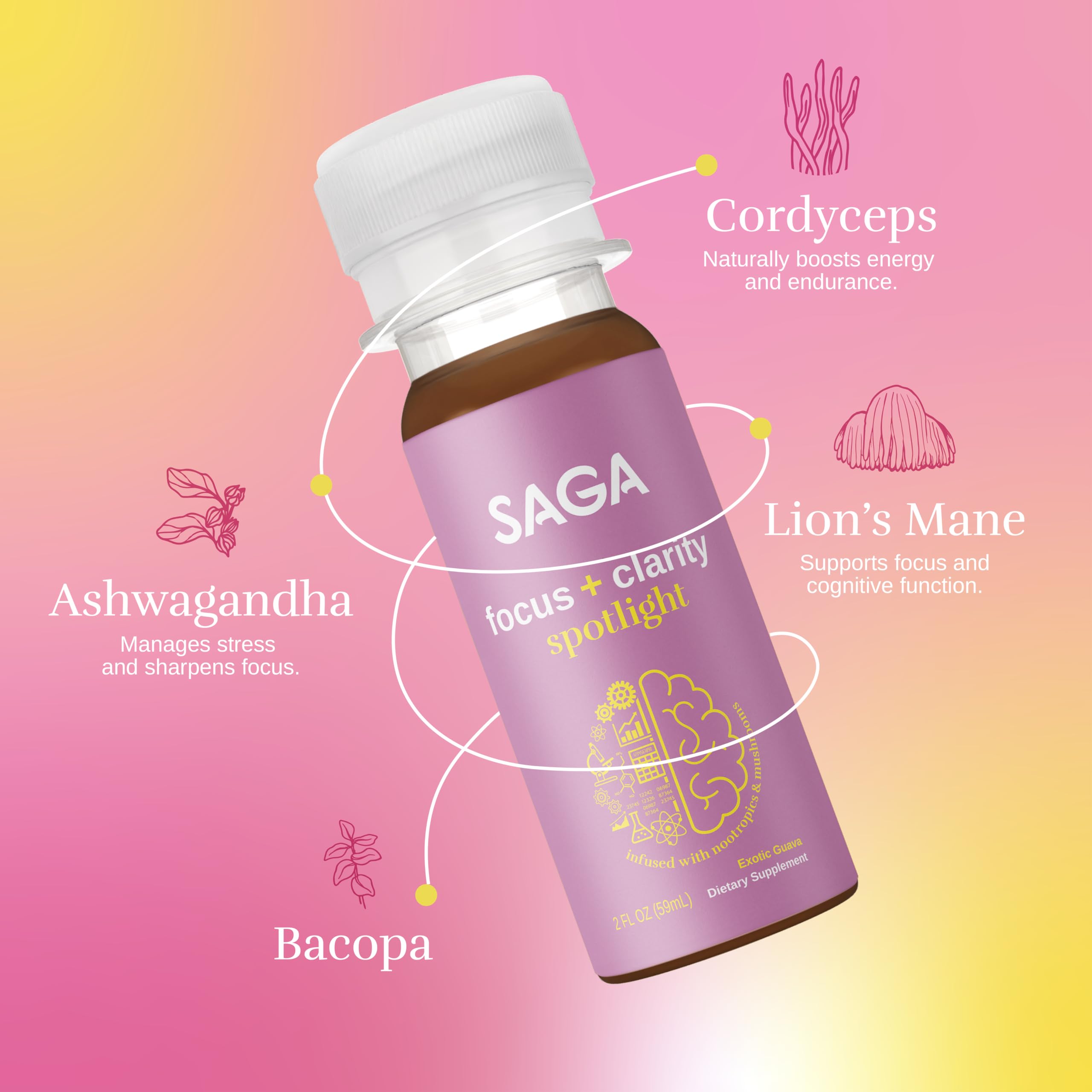 SAGA Spotlight bacopa extract highlights natural focus support.