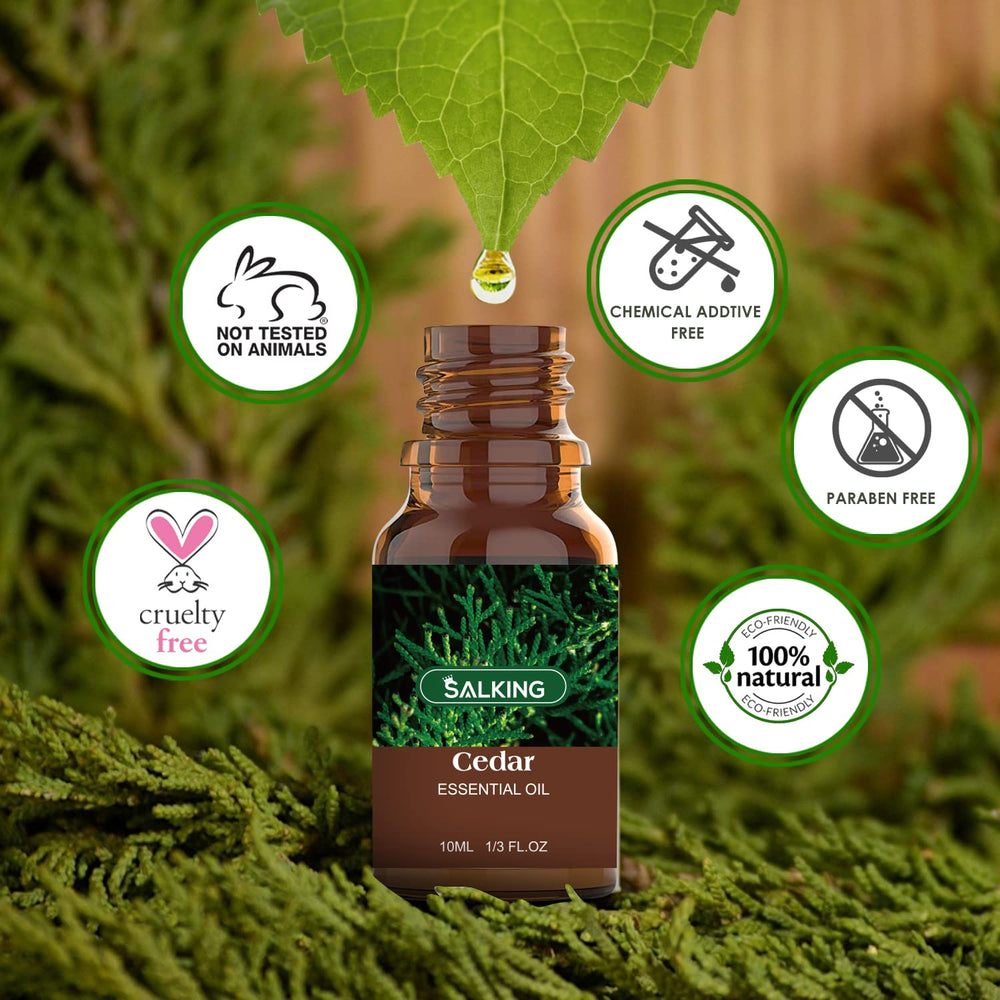 SALKING Black Spruce bottle ideal for natural air freshening.