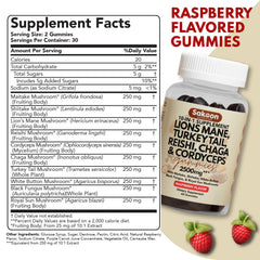Close-up of the 10-mushroom blend label from Sakoon Gummies