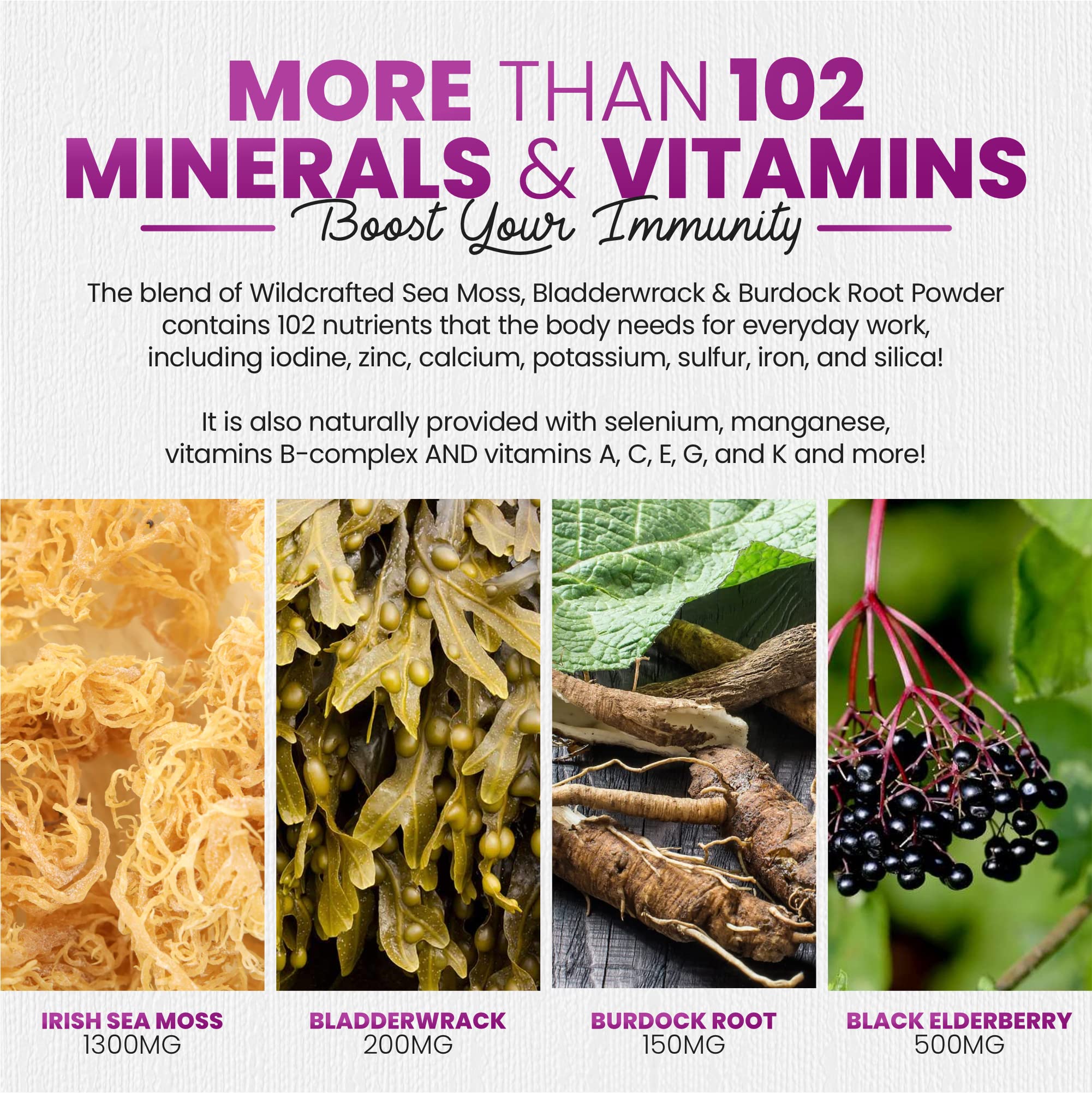Sakoon Nutrition sea moss gummies ingredients blend with elderberry and black seed oil