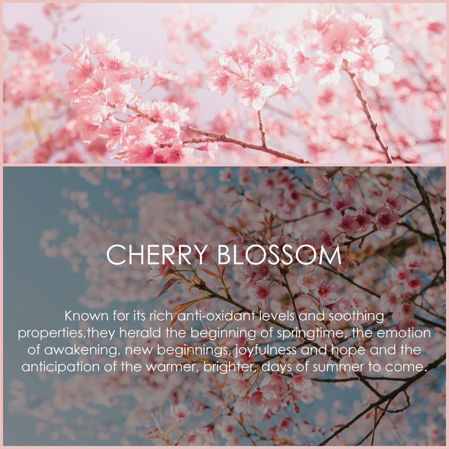 SALKING Cherry Blossom oil added to soap base during crafting