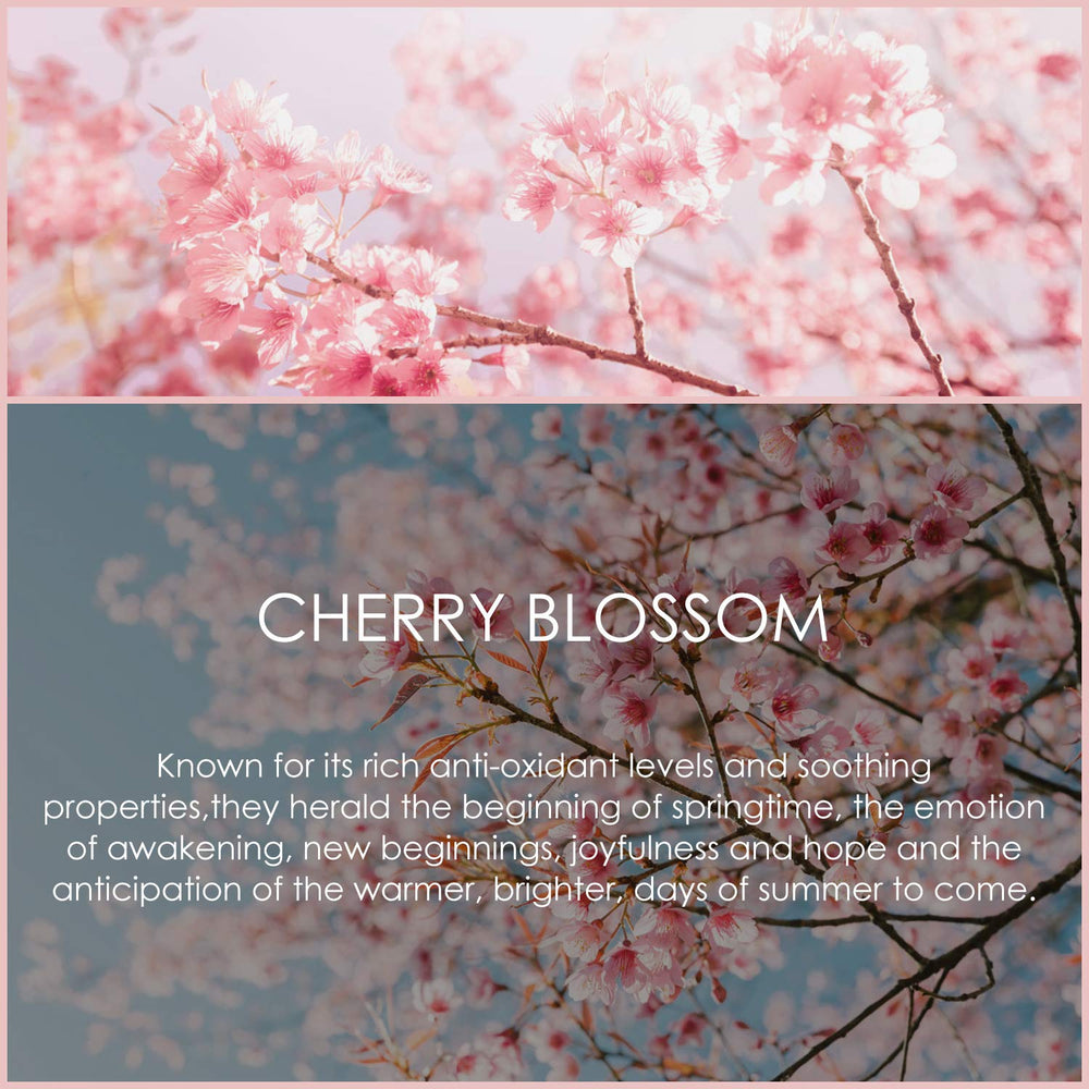 SALKING Cherry Blossom oil added to soap base during crafting