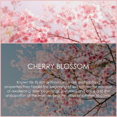 SALKING Cherry Blossom oil added to soap base during crafting