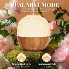 SALKING Diffuser offers continuous and intermittent mist modes for control