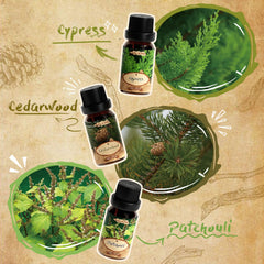 SALKING frankincense oil bottle for diffuser and calming spaces