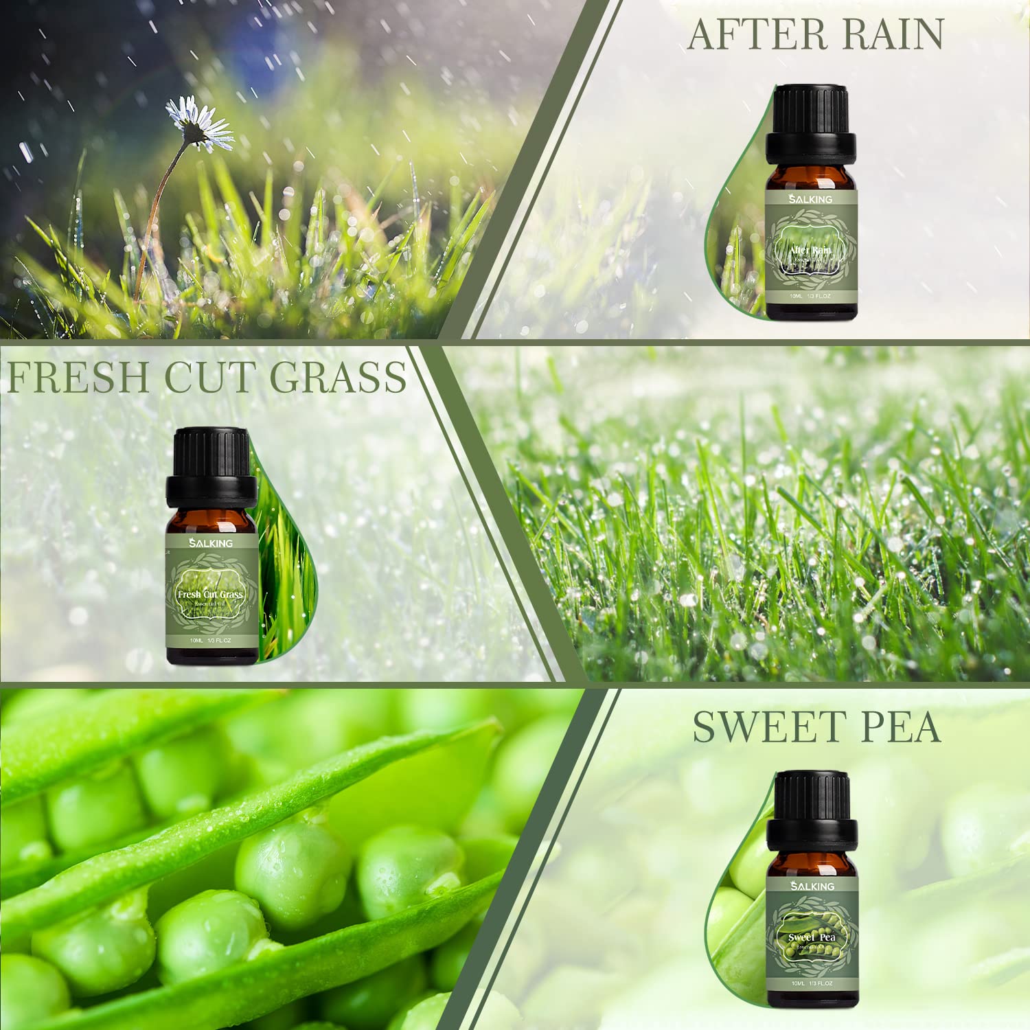 SALKING Spring Fragrance Oil Sweet Pea for soft floral ambiance