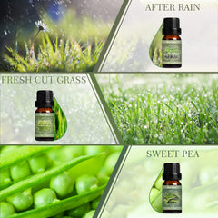 SALKING Spring Fragrance Oil Sweet Pea for soft floral ambiance