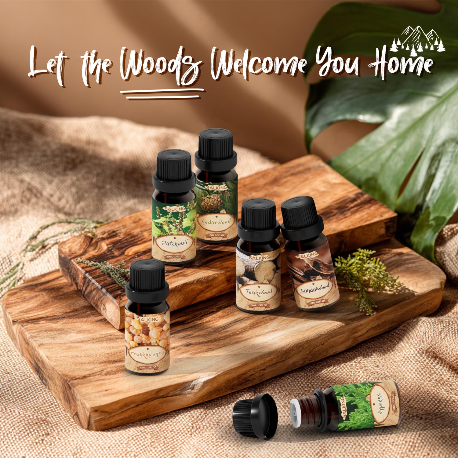 SALKING teakwood oil bottle enhances masculine-inspired room fragrance