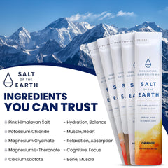 Salt of the Earth chocolate sticks close-up highlighting premium ingredients for keto-friendly hydration.