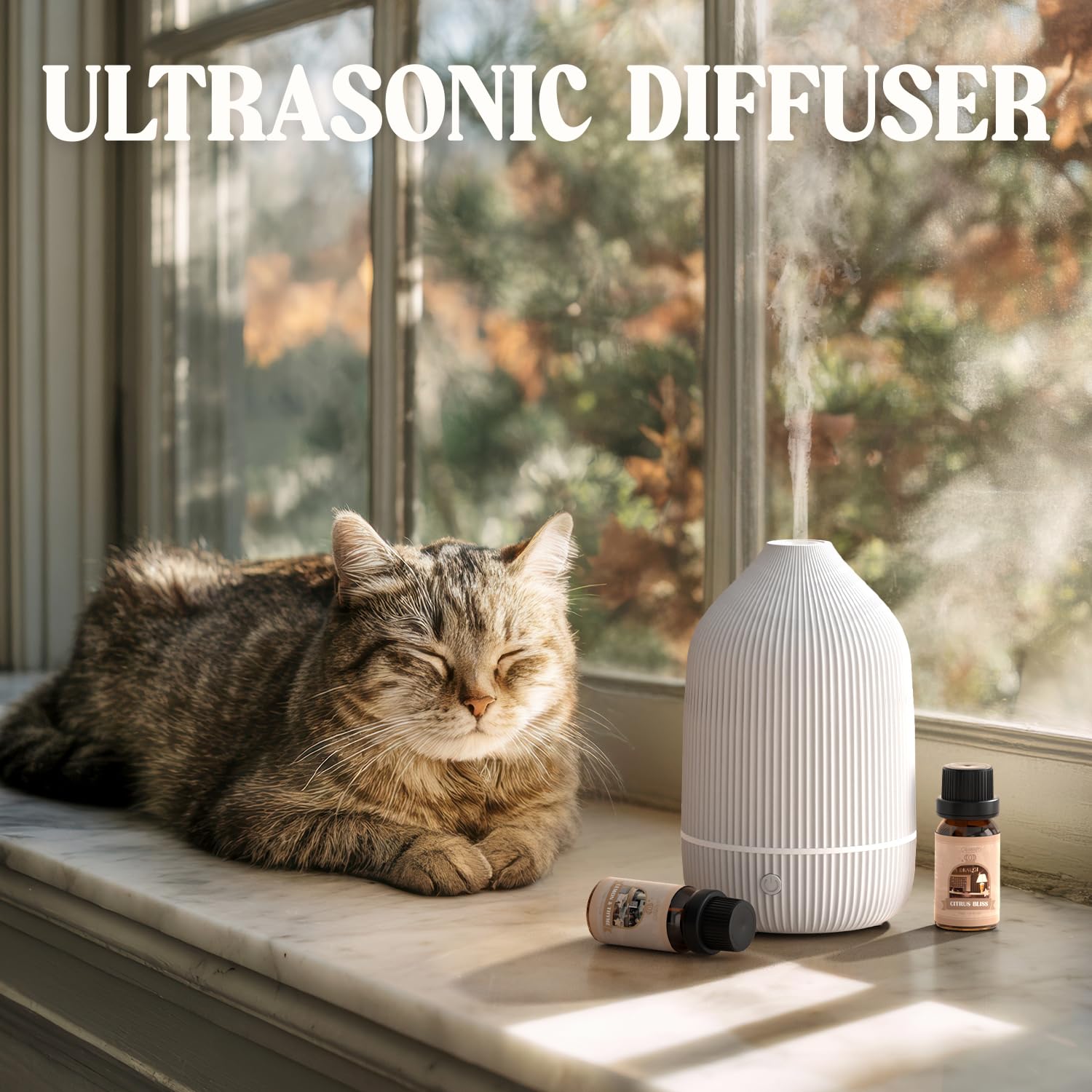 Salubrito diffuser being cleaned with cotton swab for easy maintenance