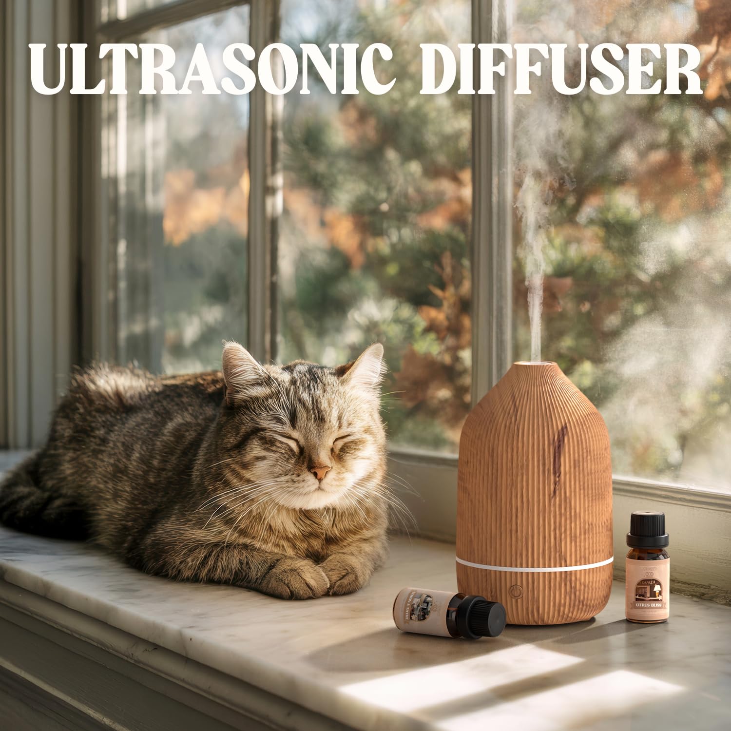Salubrito 100ml capacity diffuser for lasting fragrance in small spaces.