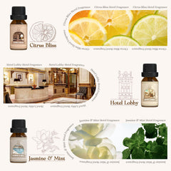 Salubrito bottle close-up reveals premium aroma for refined spaces.
