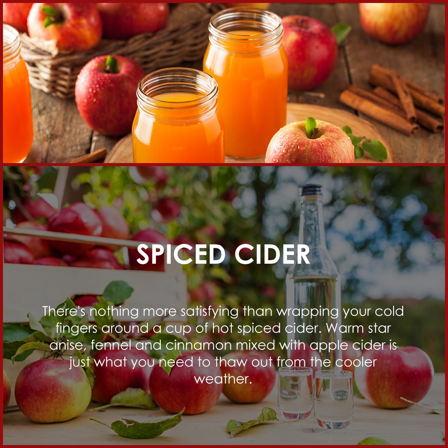 Salubrito Spiced Cider diffuser mist filling a cozy room.