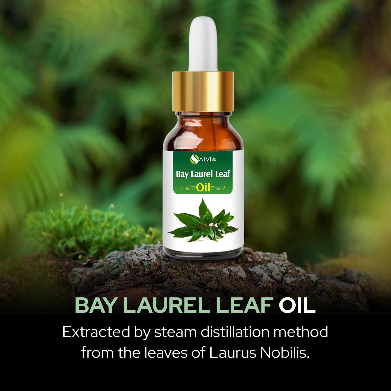 Salvia Bay Laurel Leaf Oil label close-up, highlighting undiluted quality.