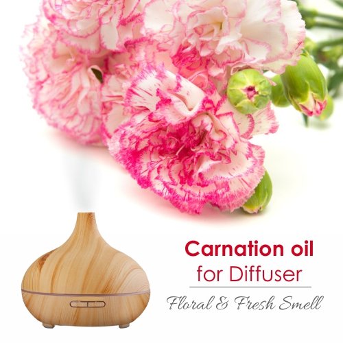 Salvia Carnation oil in diffuser blend for tranquil ambiance
