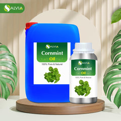 Salvia cornmint oil diffuser blend showing minty aroma for rooms