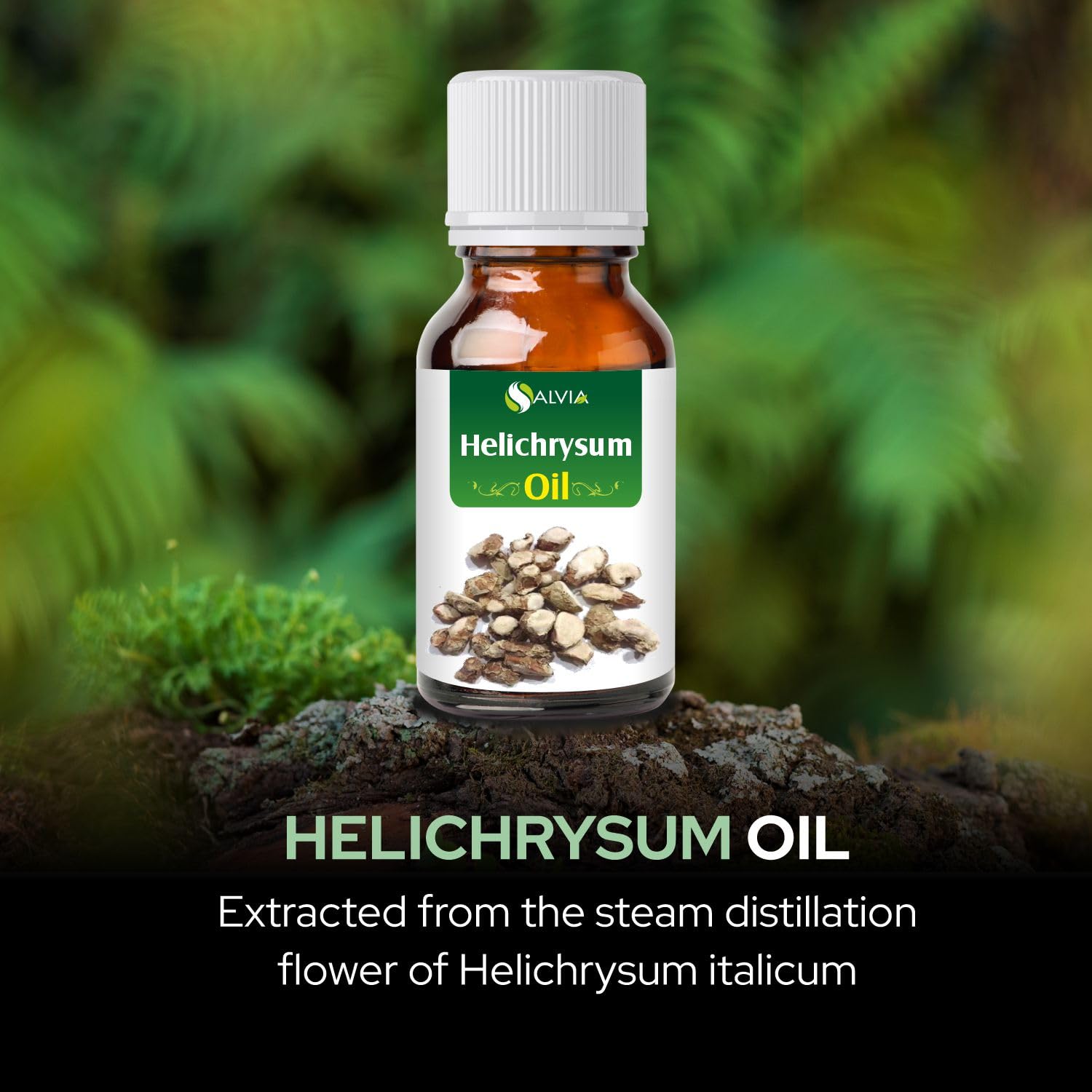 Salvia Helichrysum essential oil aroma profile described as warm and spicy