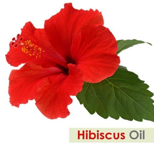 Diffuser-ready blend using Salvia Hibiscus Oil for a calming atmosphere.