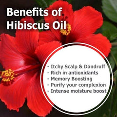 Close-up of Salvia Hibiscus Oil label detail and premium packaging.
