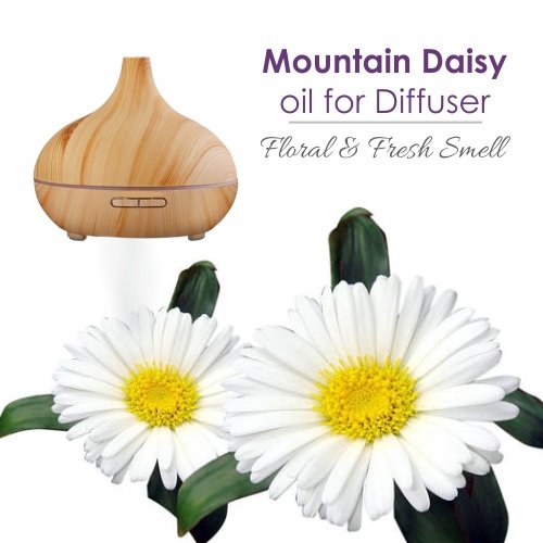 Salvia Mountain Daisy Essential Oil blend-pour for convenient DIY creations and blending.