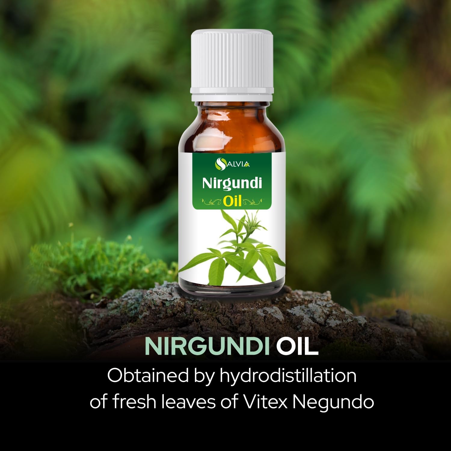 Salvia Nirgundi Oil label-info captures product details and quality highlights.