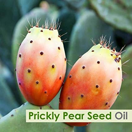 Close-up of Salvia Prickly Pear Seed Oil showing pale yellow-green color