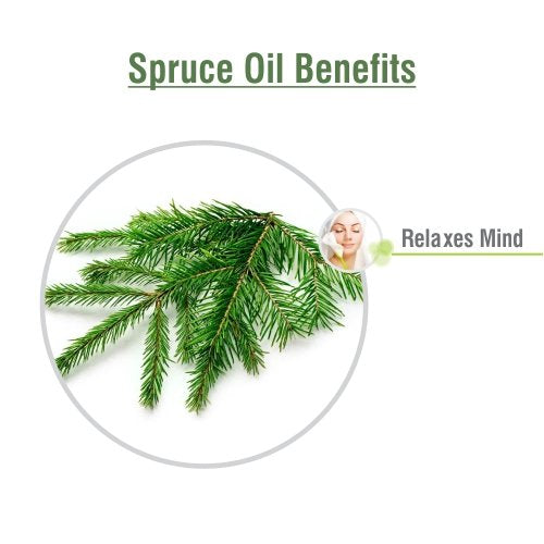 Salvia Spruce Oil woodsy aroma evokes forest atmosphere.
