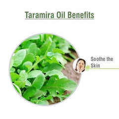 Salvia Taramira Oil blended with coconut for lightweight conditioning blends.