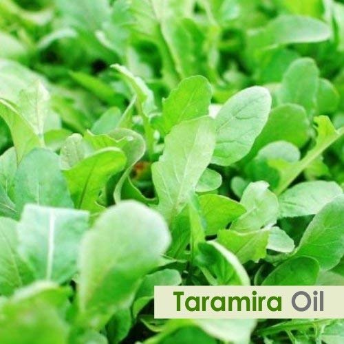 Salvia Taramira Oil texture rich and conditioning for hair routines.