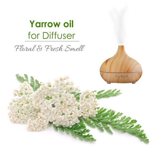 Salvia Yarrow Oil label front identifies the cosmetic-grade product for easy stocking.