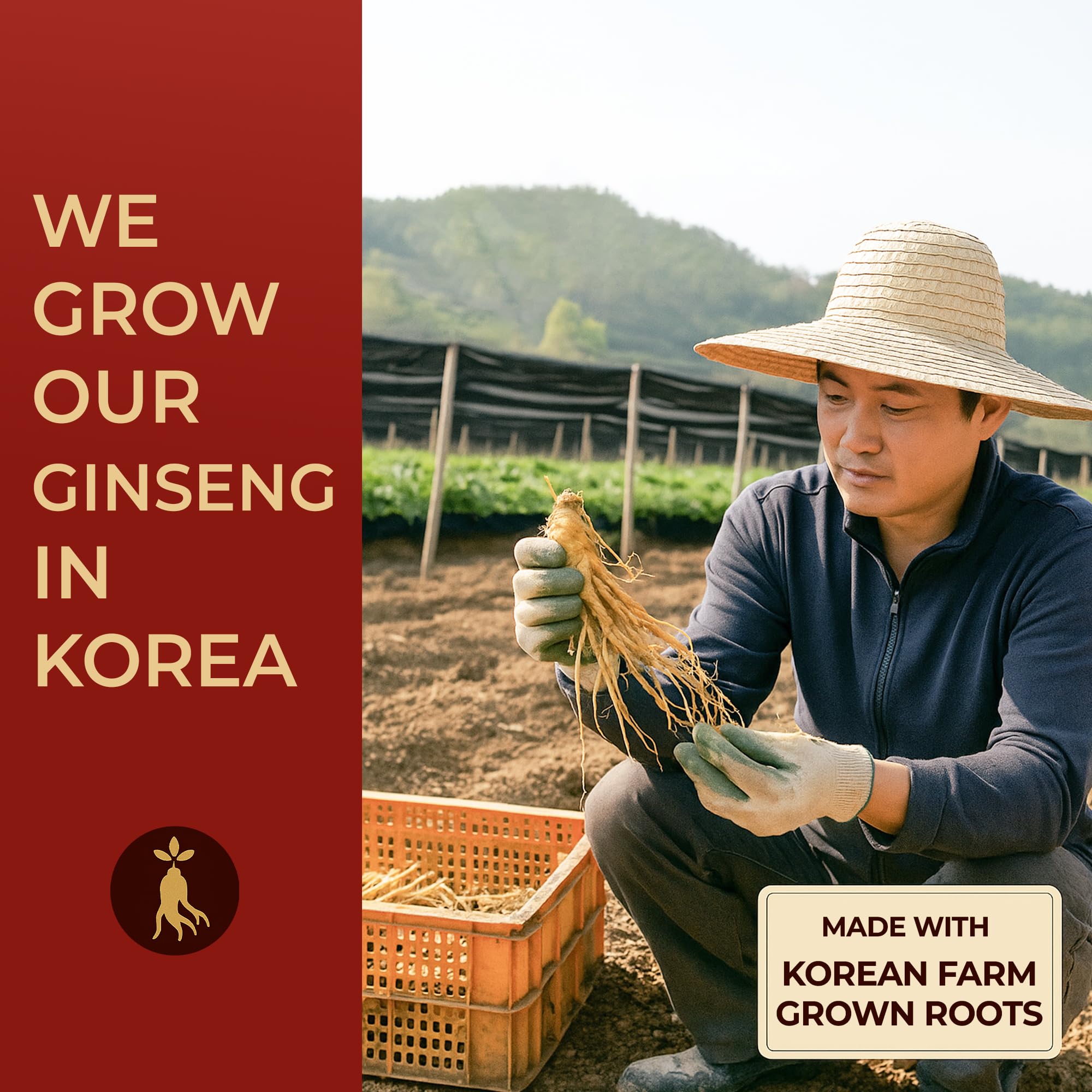 SAMSIDAE packaging label shows Korean origin and time-honored methods