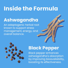 Sanar Naturals Ashwagandha capsules pour shows easy daily dosing.