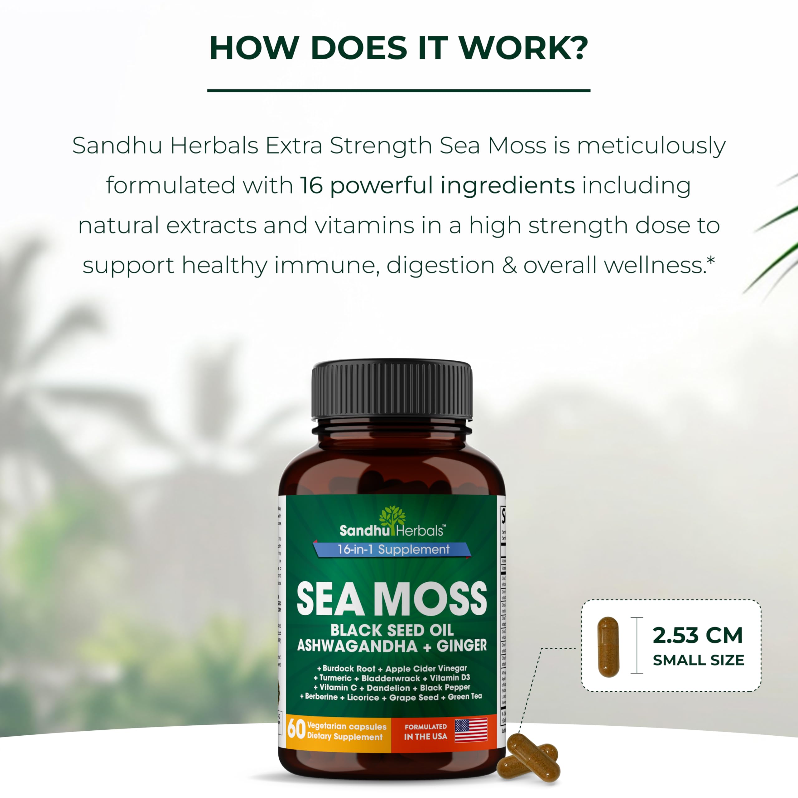 SandhuHerbals Ginger root for soothing, flavorful wellness support.