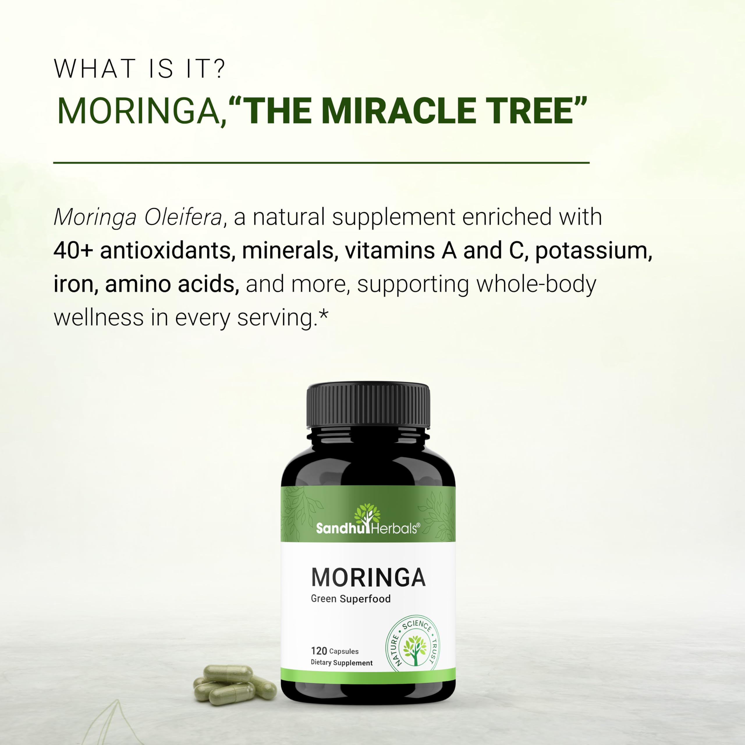 Sandhu Herbals Moringa leaf powder close-up shows vibrant green nutritional power.