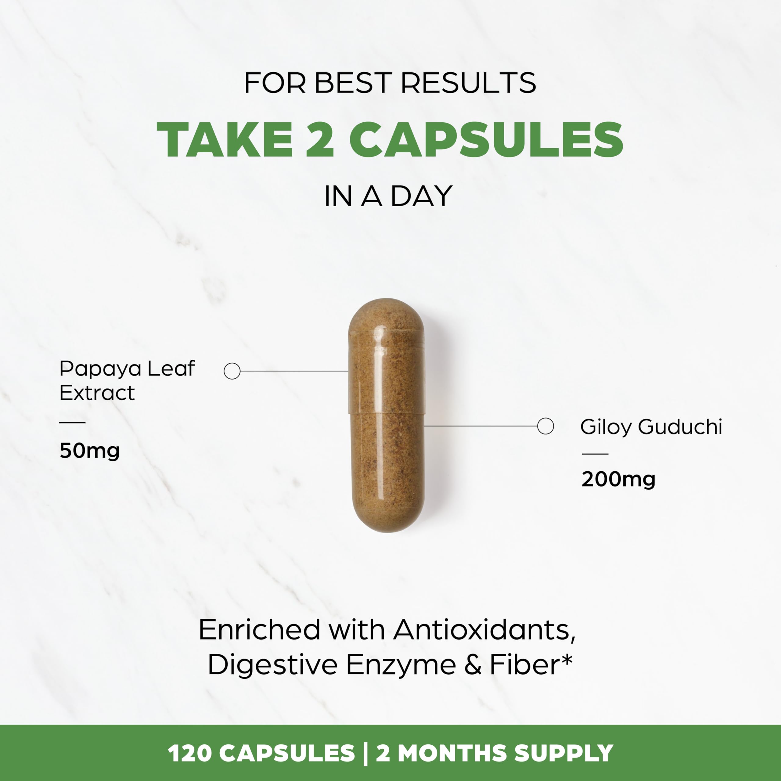 SANDHUHERBALS Papaya Leaf Extract packaging displayed for shelf appeal