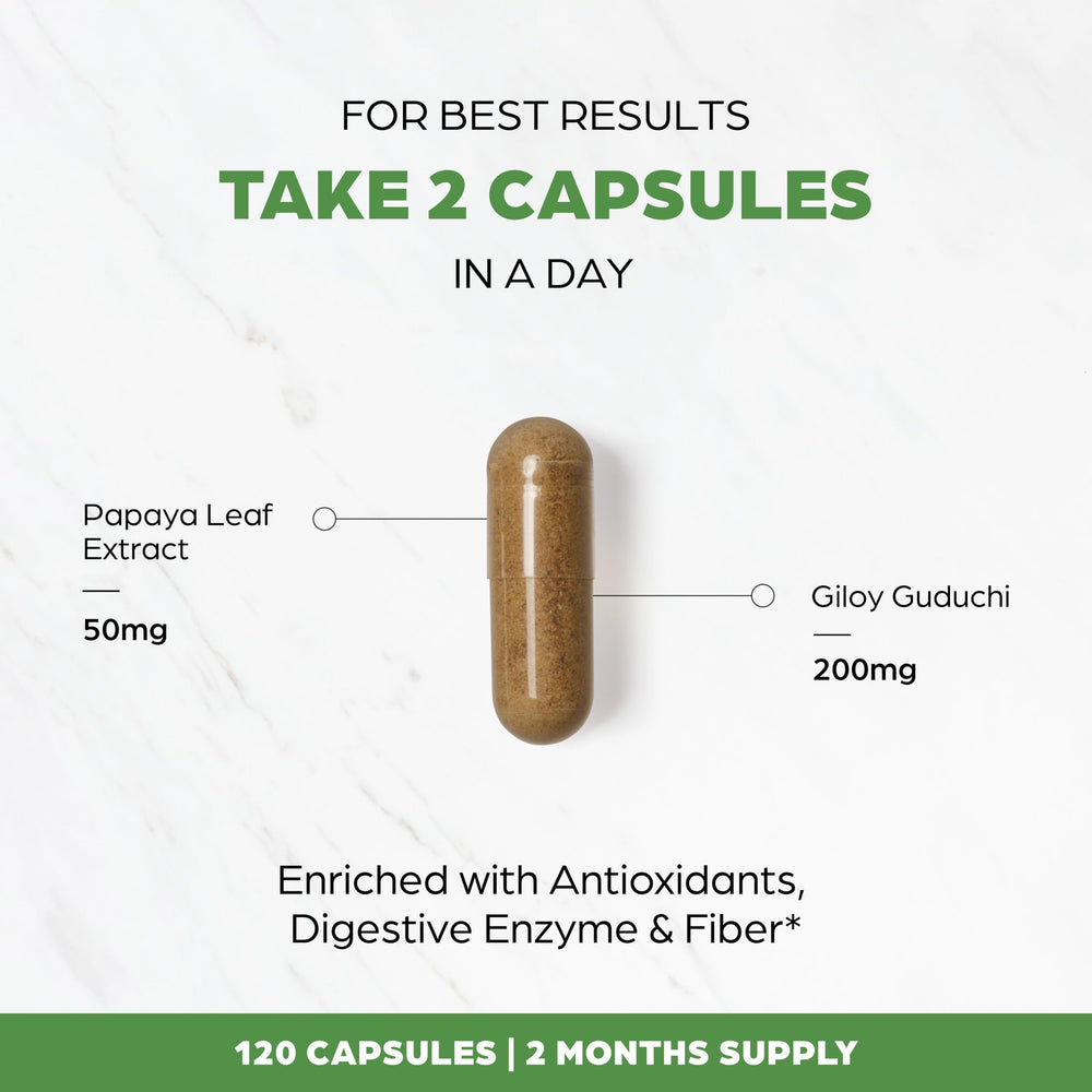 SANDHUHERBALS Papaya Leaf Extract packaging displayed for shelf appeal