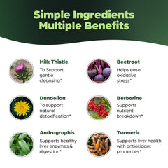 Milk thistle extract detail in Sandhu's Liver Cleanse for antioxidant support