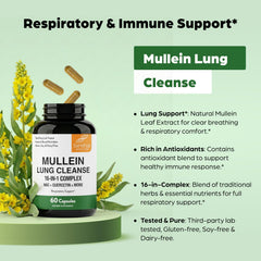 Sandhu's Mullein Capsules quercetin tablet closeup highlighting lung support