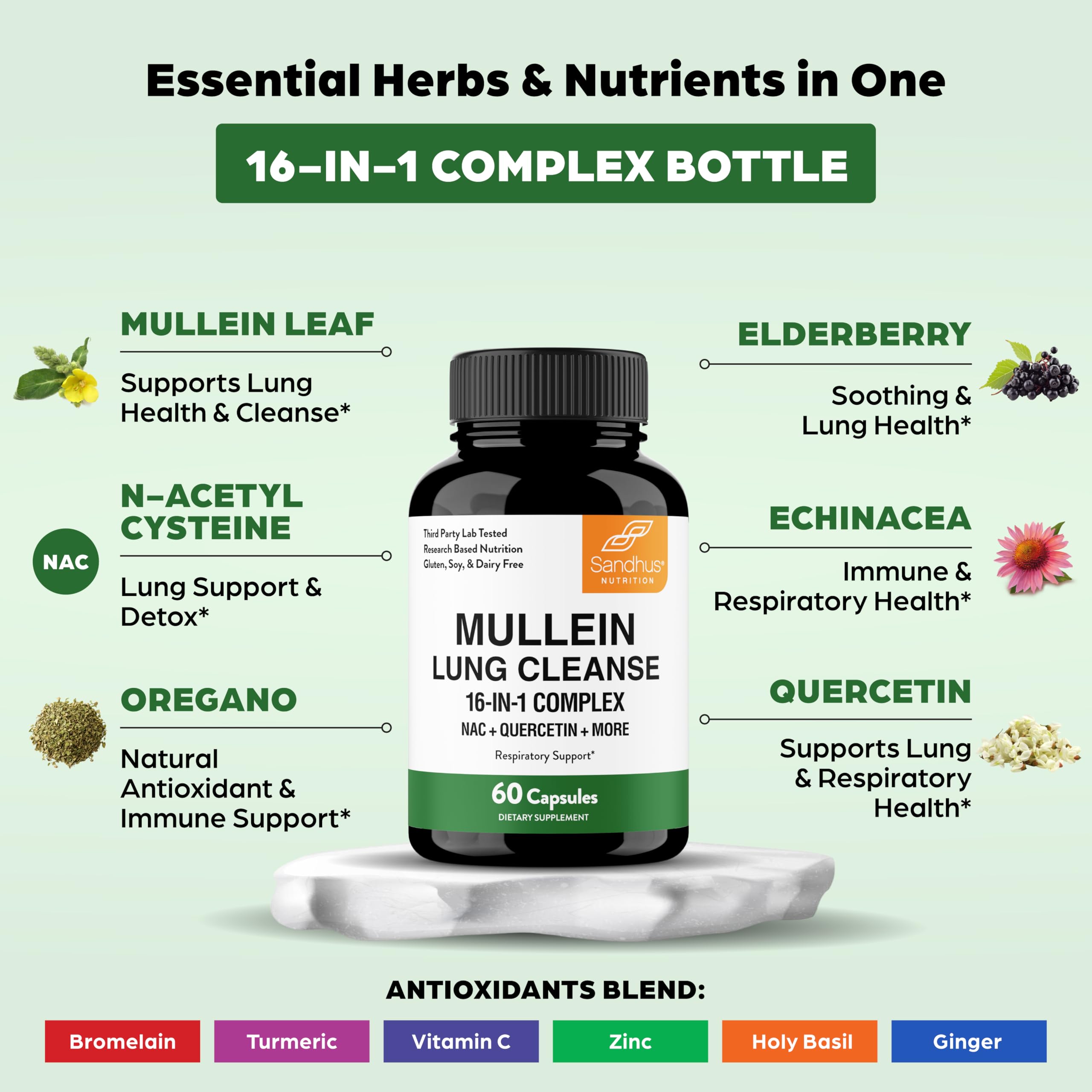 Sandhu's Mullein Leaf Extract closeup emphasizing concentrated lung benefits