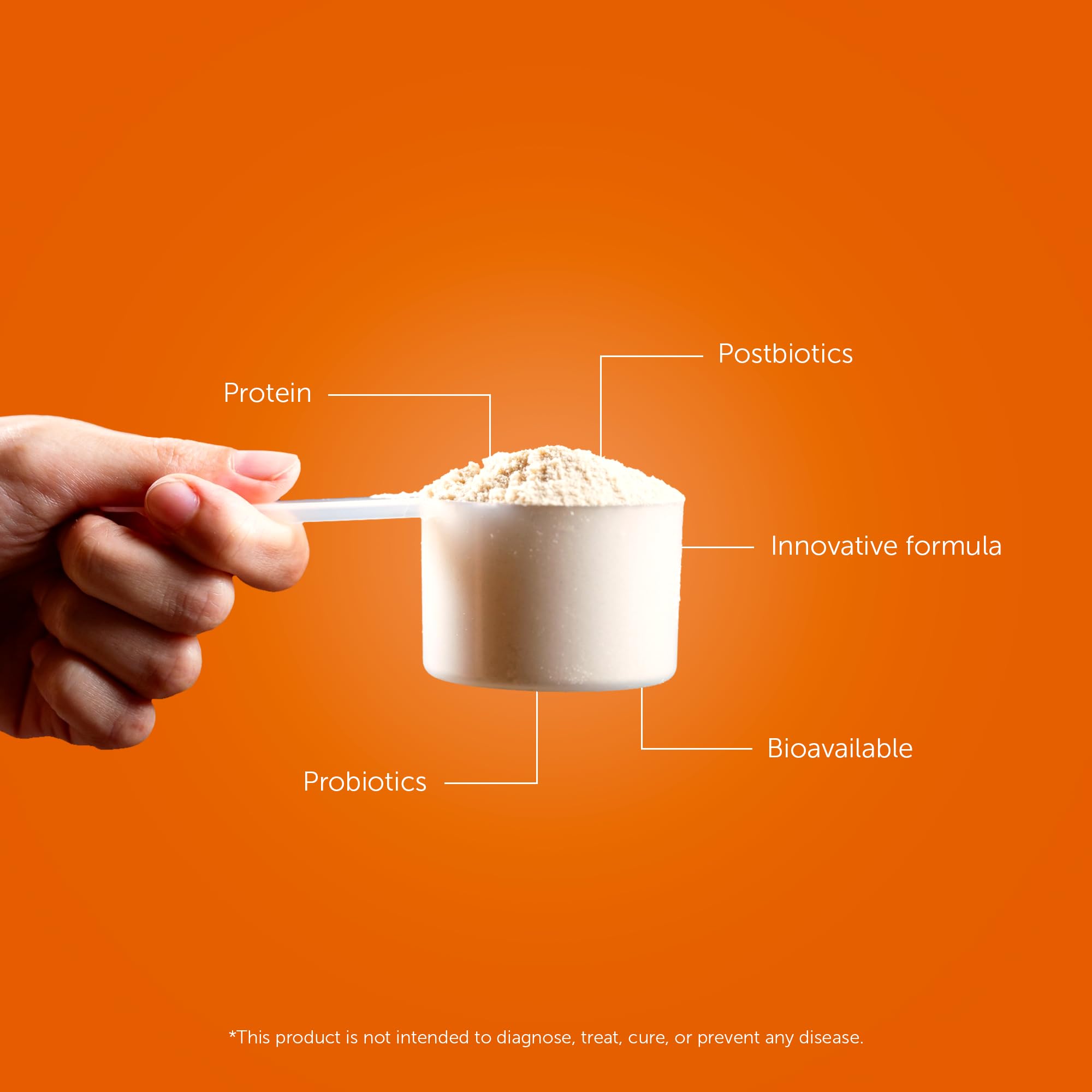 Sanki Hasaki cacao with Lactobacillus fermentation for probiotic benefits