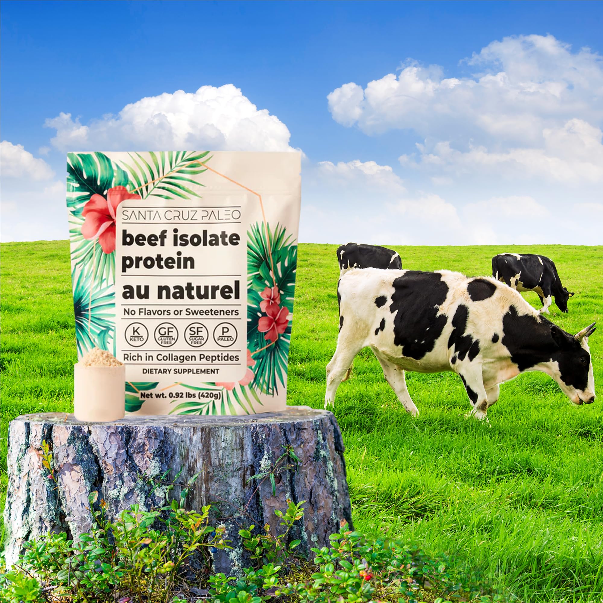 Santa Cruz Paleo beef isolate container with label, great for versatile shakes.