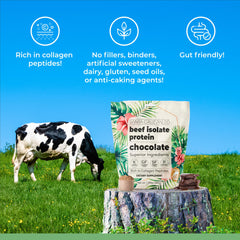 Close-up of Santa Cruz Paleo beef isolate bag showing clean label.