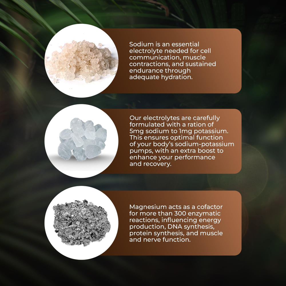 Santa Cruz Paleo Electrolyte Capsules travel bag scene emphasizes on-the-go hydration.