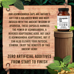 Santa Cruz Paleo label detail emphasizing clean, simple ingredients