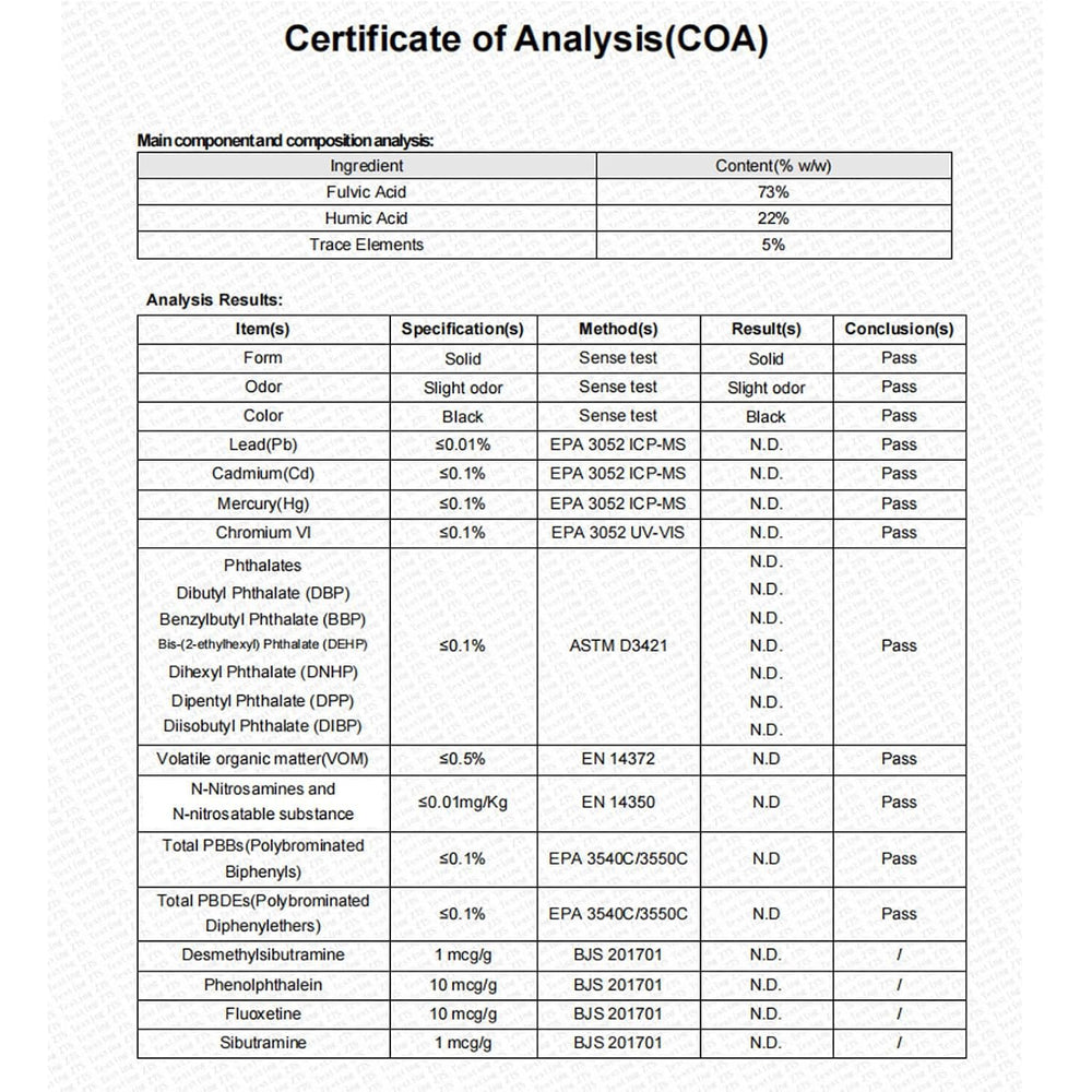 Santegra Shilajit tablets ready to support daily energy and metabolism possibilities.