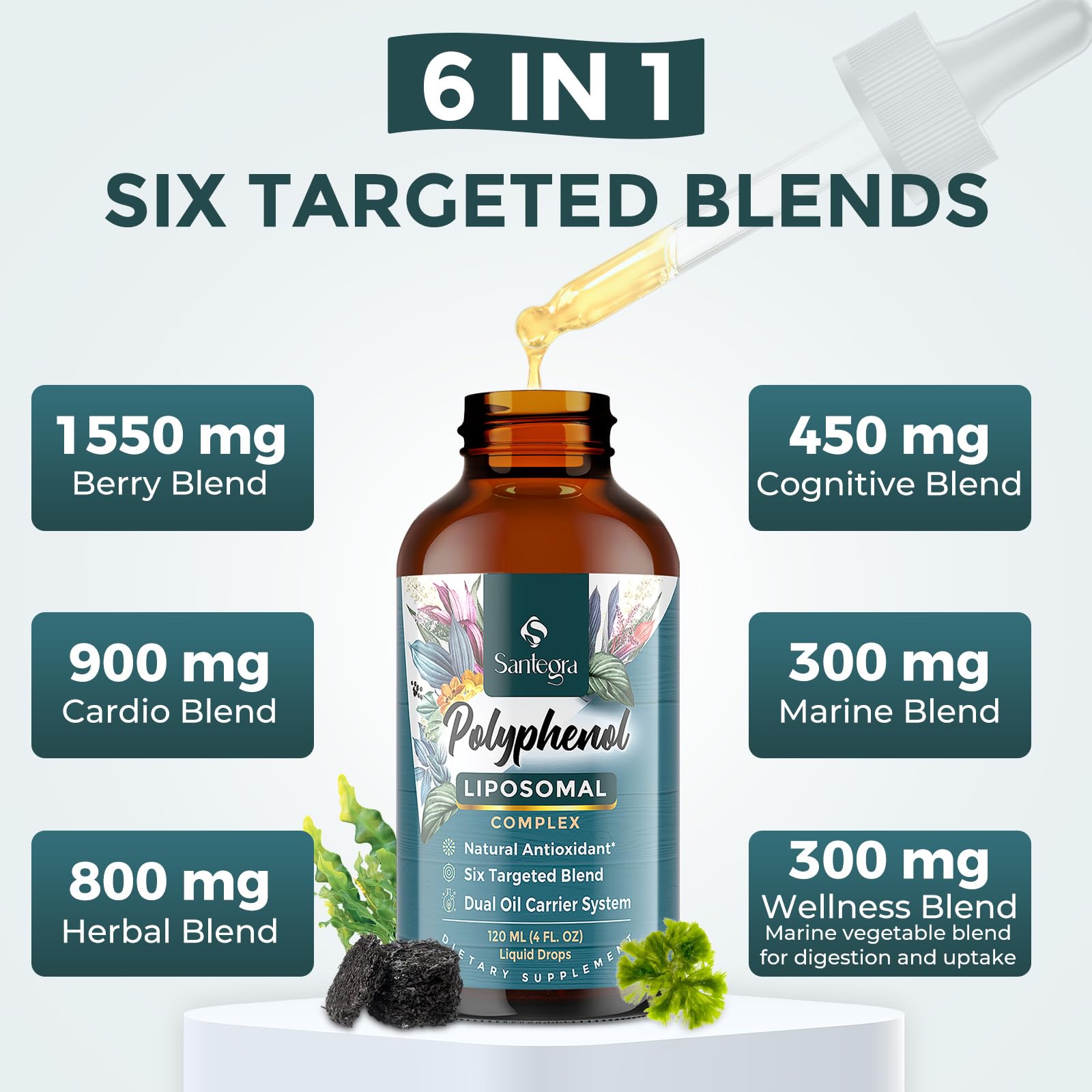 Chart of polyphenol sources like grape seed and elderberry for diverse benefits.
