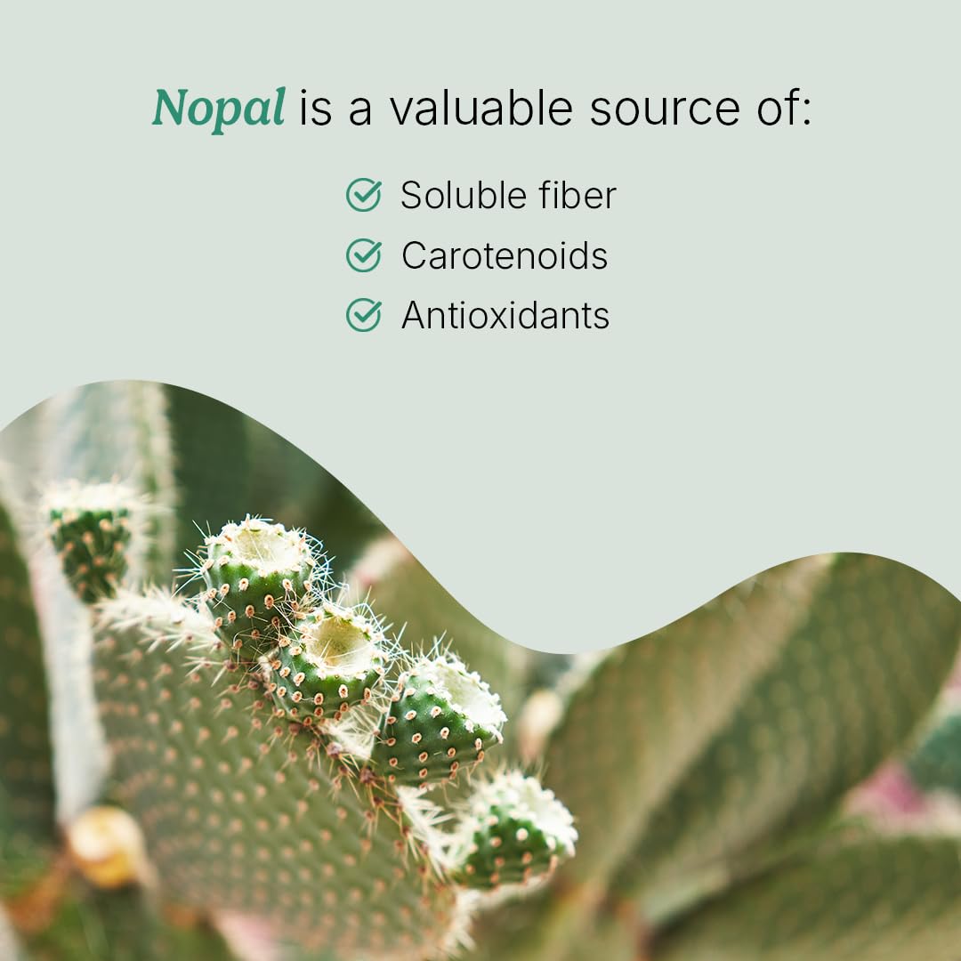 Santo Remedio Nopal Chia ingredients panel signals plant-based nutrients