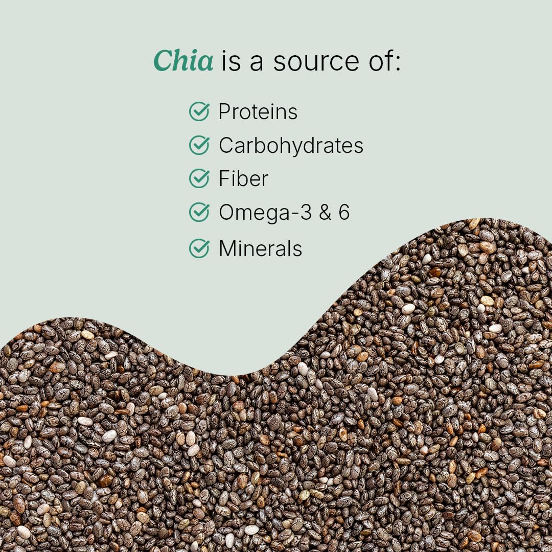 Santo Remedio Nopal Chia capsules on white background emphasize compact form