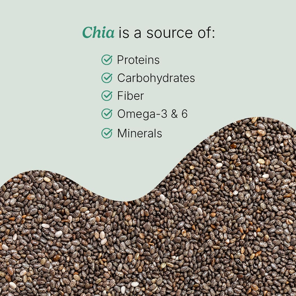 Santo Remedio Nopal Chia capsules on white background emphasize compact form