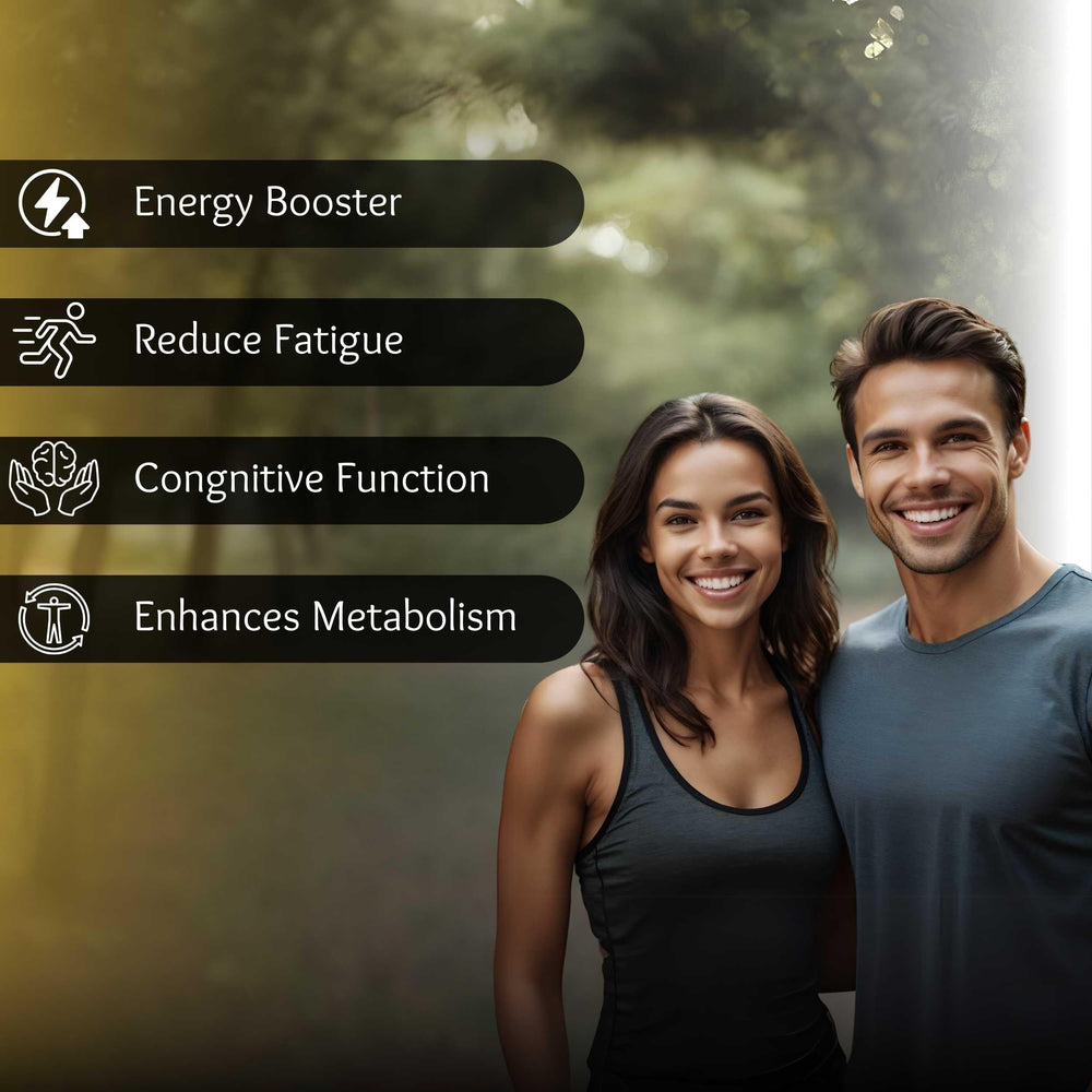 Sarban Shilajit traditional purification method preserves natural minerals and potency